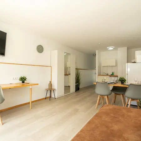 Sali Homes Apartmenthaus Schlossgasse * 네카줄름